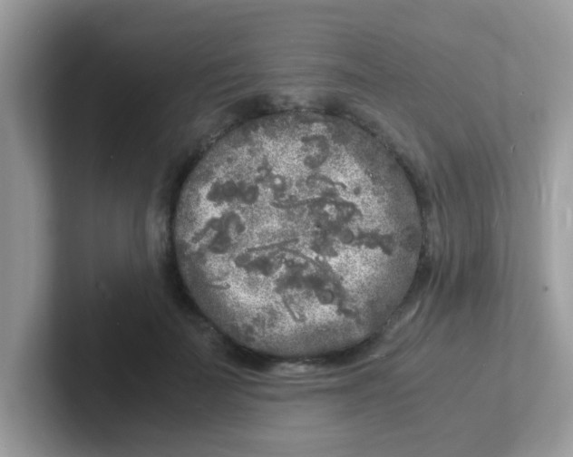 X0000101480699200807281040