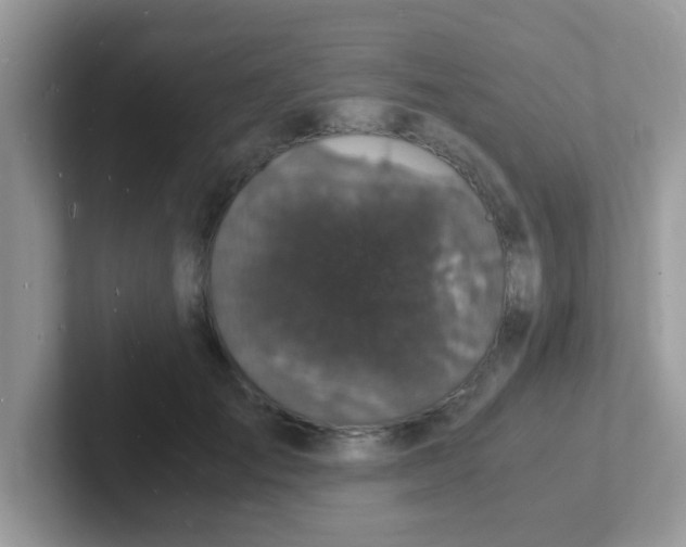 X0000101480701200807281040