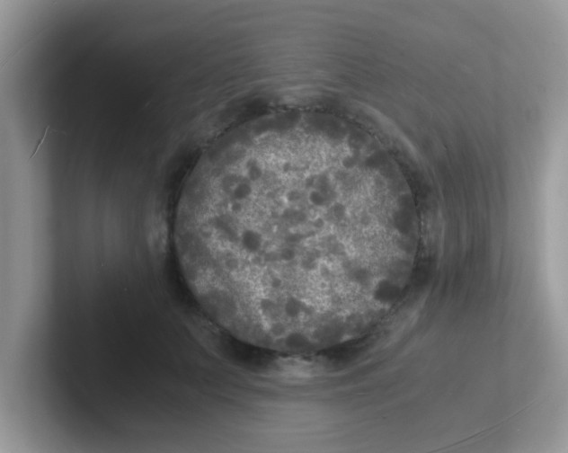 X0000101480703200807281039