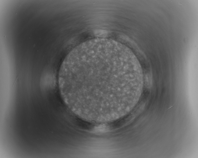 X0000101480705200807281039