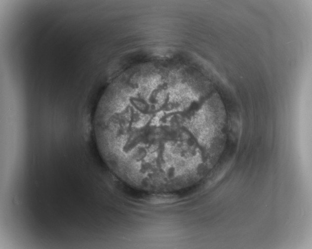 X0000101480707200807281039