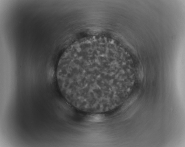 X0000101480711200807281039