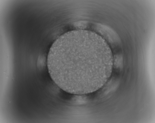 X0000101480713200807281039