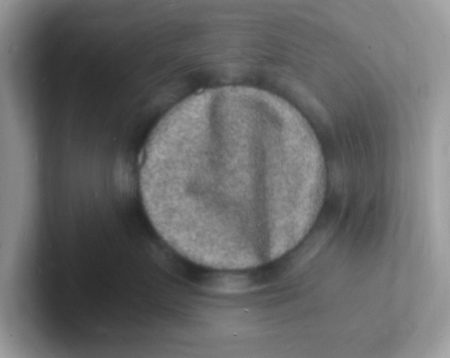 X0000101480719200807281039