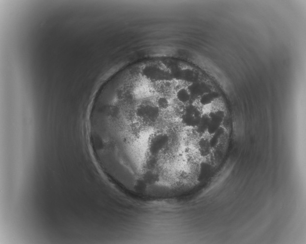 X0000101480721200807281039