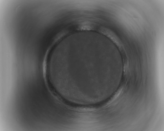 X0000101480722200807281039