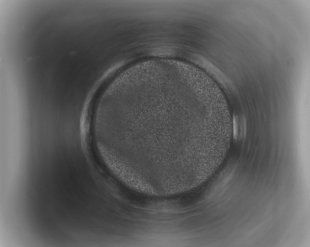 X0000101480723200807281039