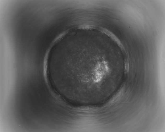 X0000101480724200807281039