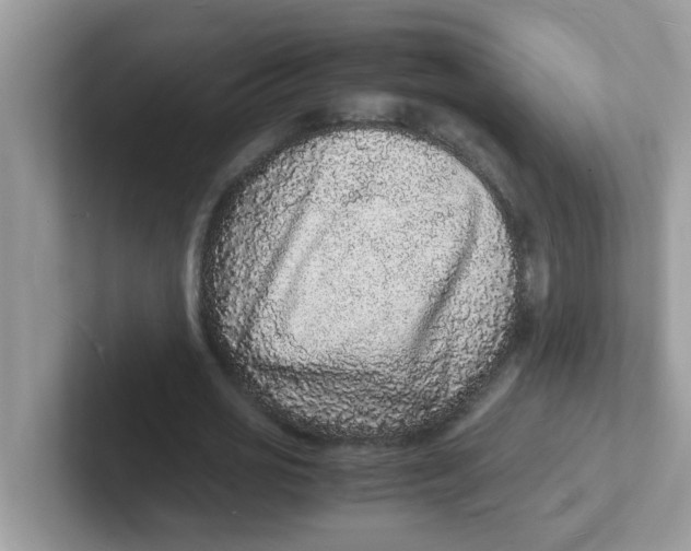 X0000101480725200807281039