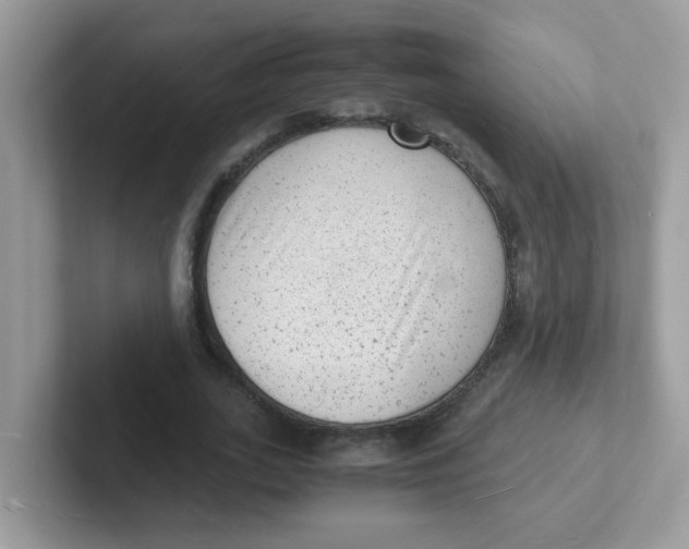 X0000101480727200807281039