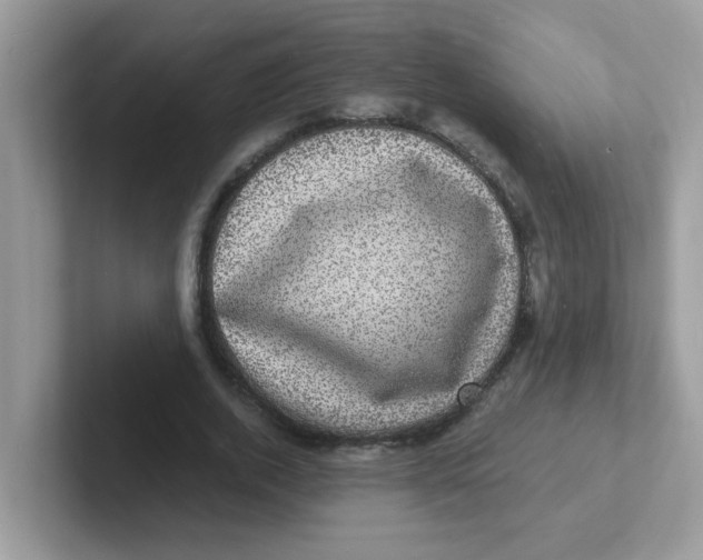 X0000101480728200807281039