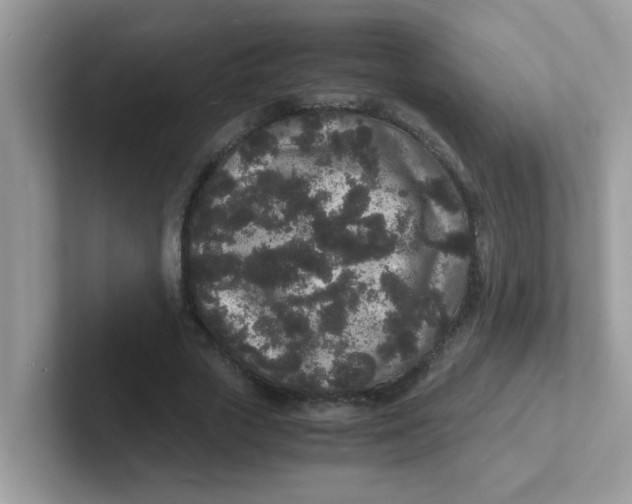 X0000101480729200807281039