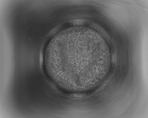 X0000101480733200807281039