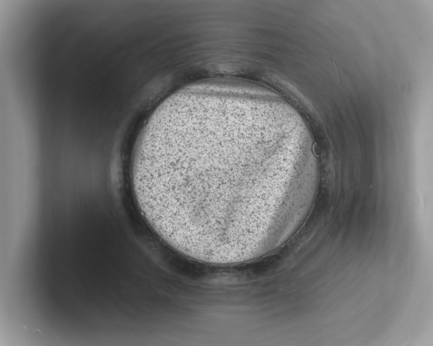 X0000101480738200807281039