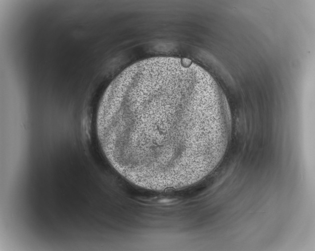 X0000101480739200807281039