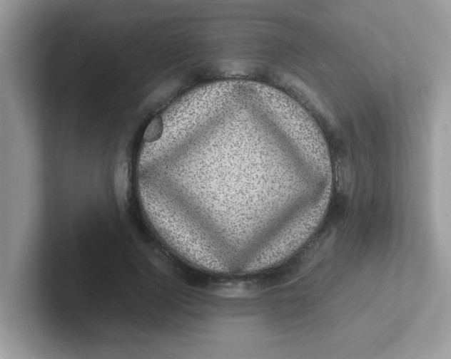 X0000101480740200807281039