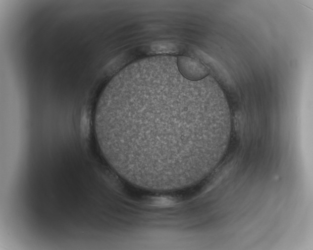 X0000101480741200807281039