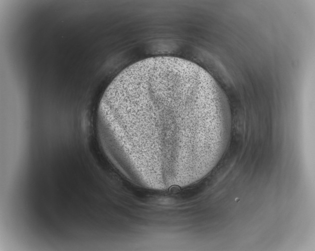 X0000101480743200807281039