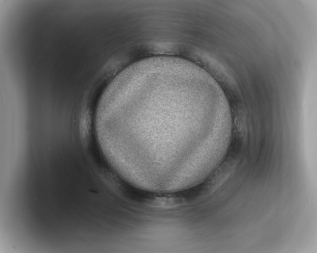 X0000101480744200807281039