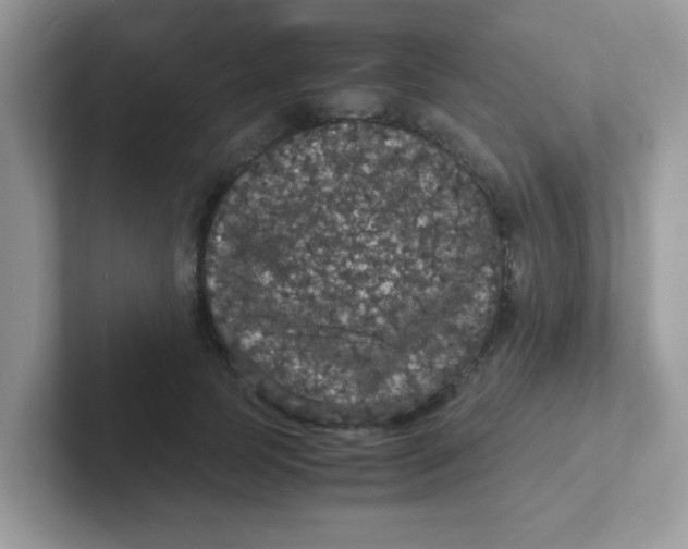 X0000101480745200807281039