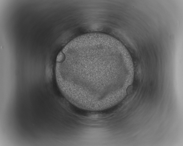 X0000101480746200807281039