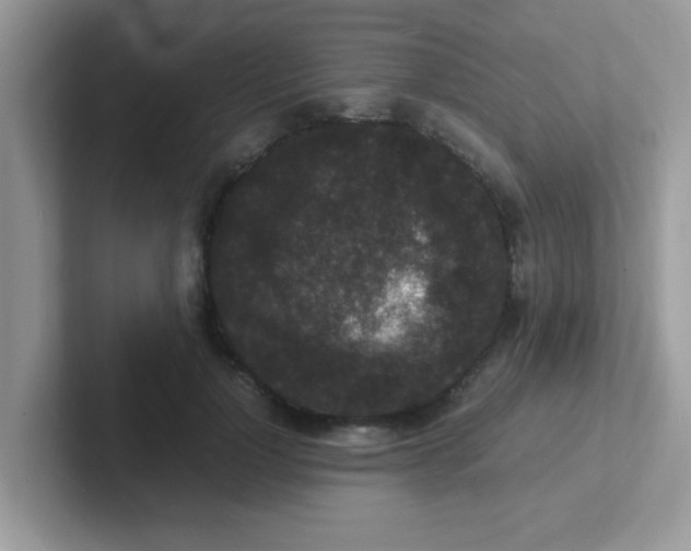 X0000101480748200807281039