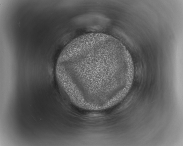 X0000101480749200807281039