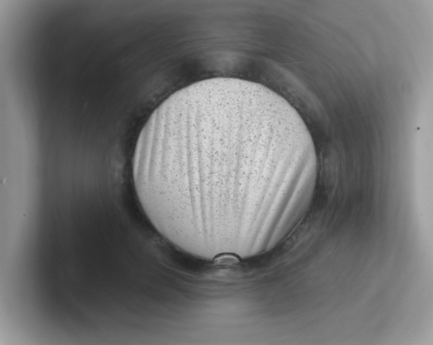 X0000101480750200807281039