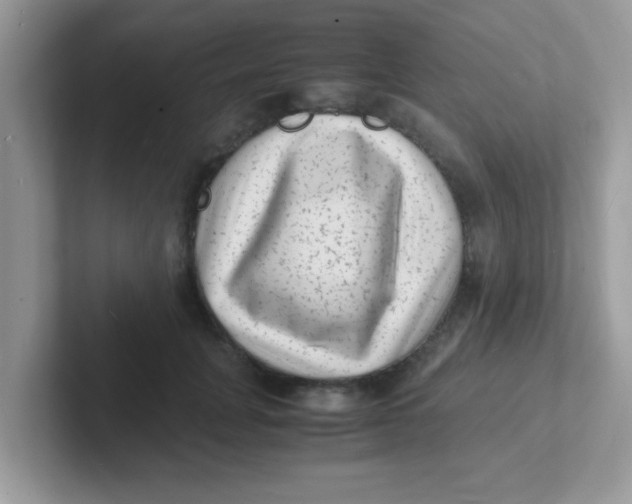 X0000101480751200807281039