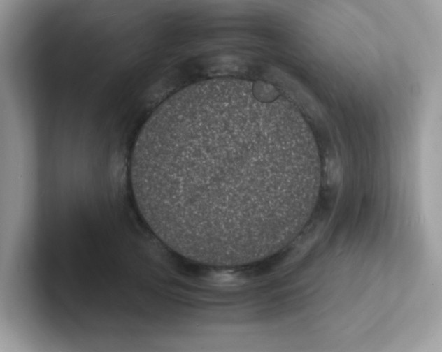 X0000101480753200807281039