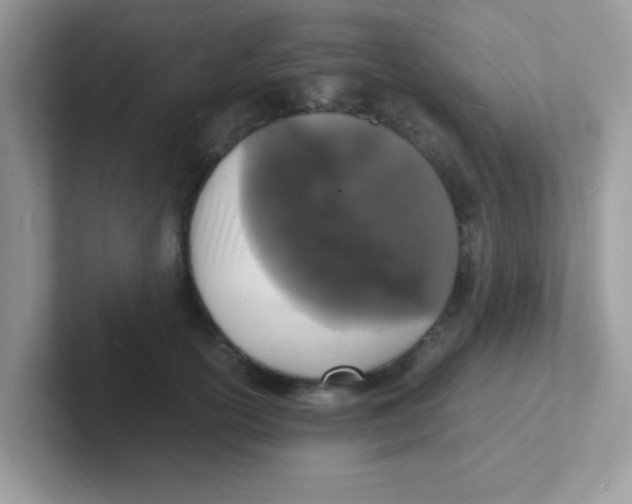 X0000101480754200807281039