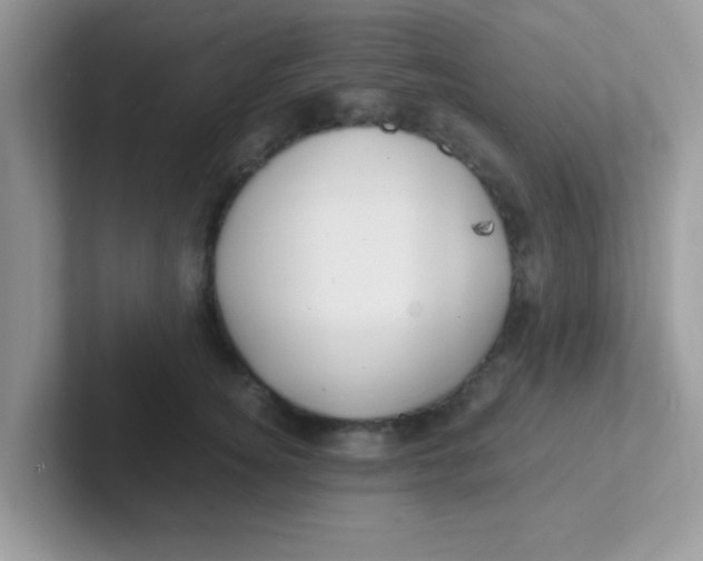 X0000101480756200807281039