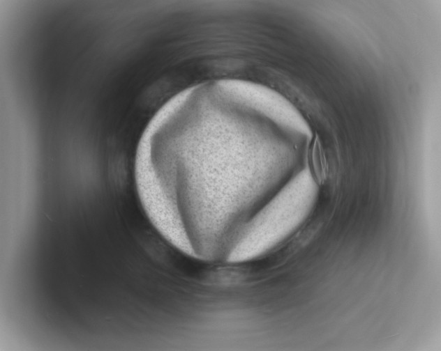 X0000101480758200807281039