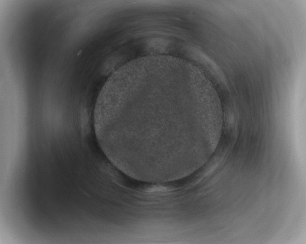 X0000101480759200807281039