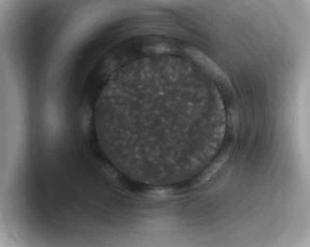 X0000101480760200807281039