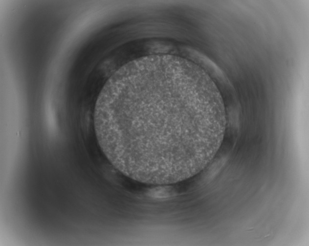 X0000101480761200807281039