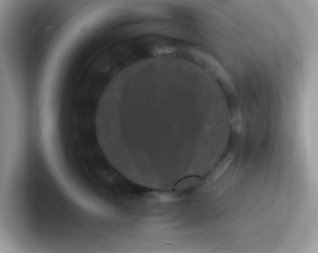 X0000101480763200807281039