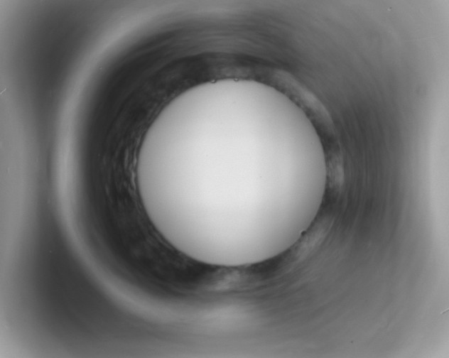 X0000101480764200807281039