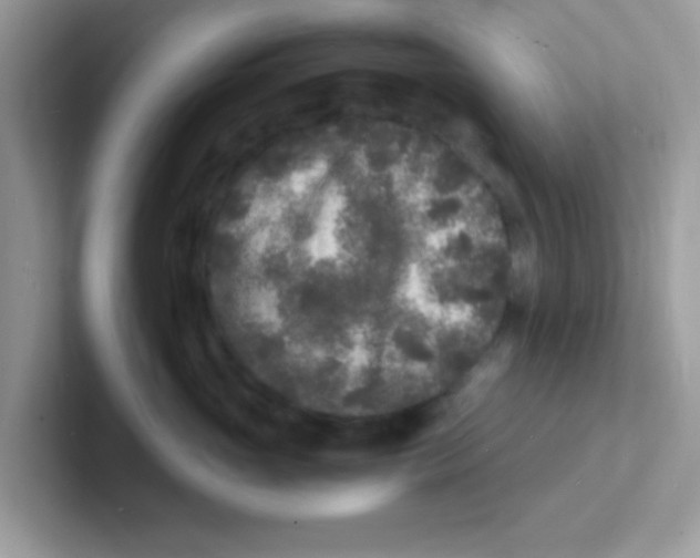 X0000101480765200807281039