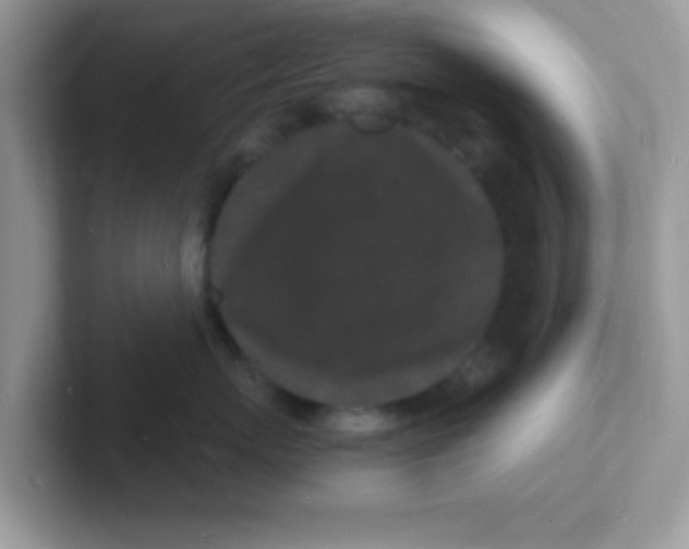 X0000101480767200807281039