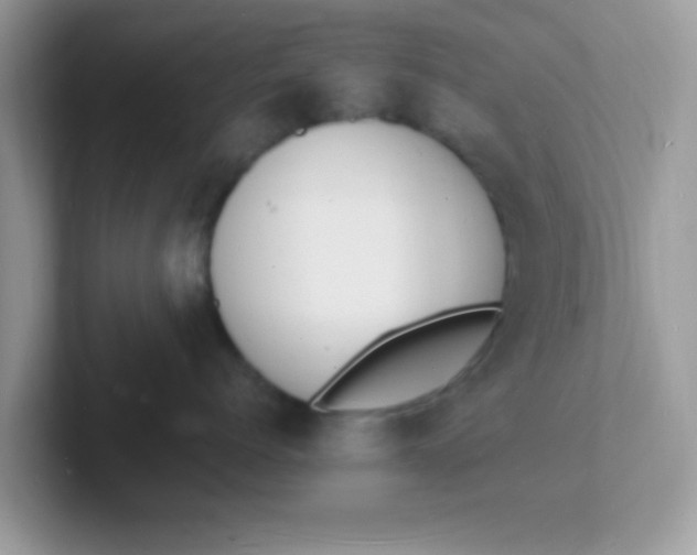 X0000101480768200807281039