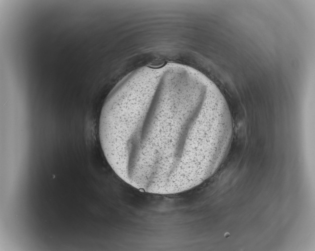 X0000101480772200807281039