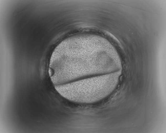 X0000101480775200807281039