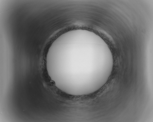 X0000101480776200807281039