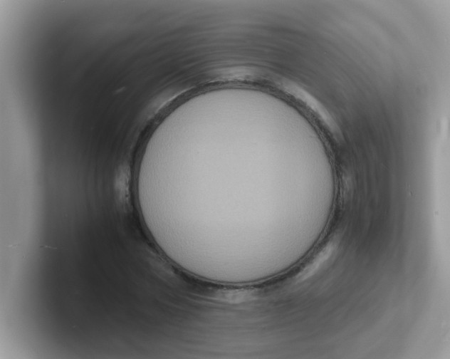 X0000101480778200807281039