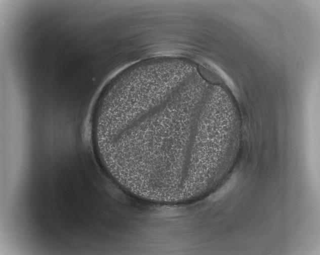 X0000101480779200807281039