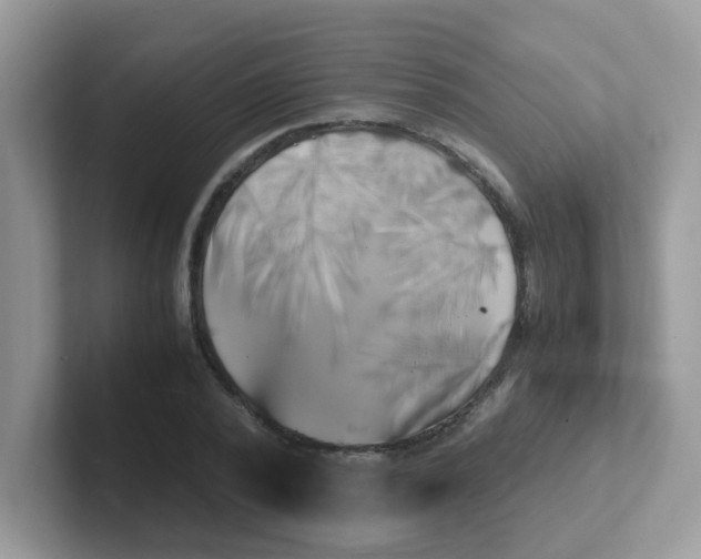 X0000101480784200807281038