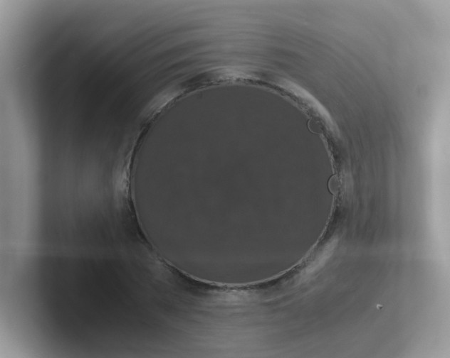 X0000101480785200807281038