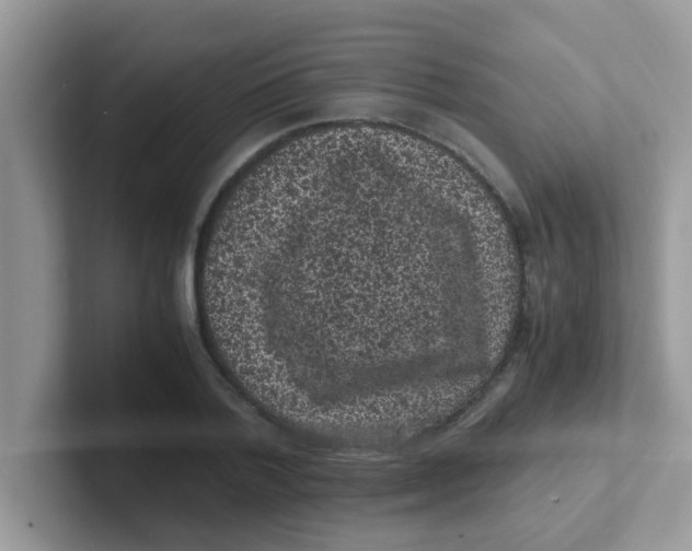 X0000101480788200807281038