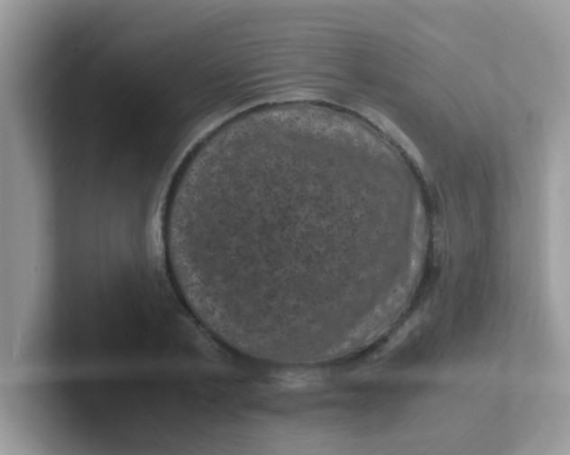 X0000101480789200807281038